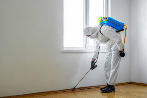 Wasp Removal Services in Highland Lakes, NJ