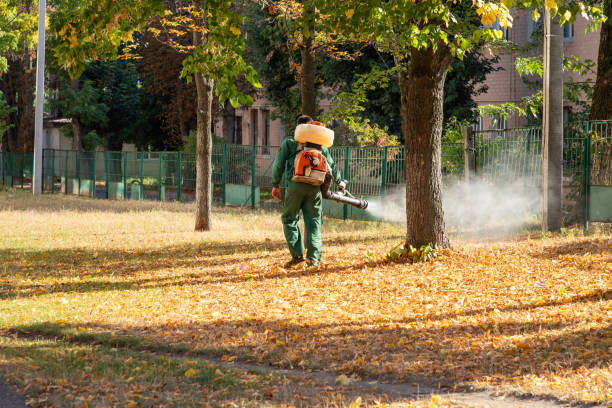 Best Wasp Removal Services  in Highland Lakes, NJ