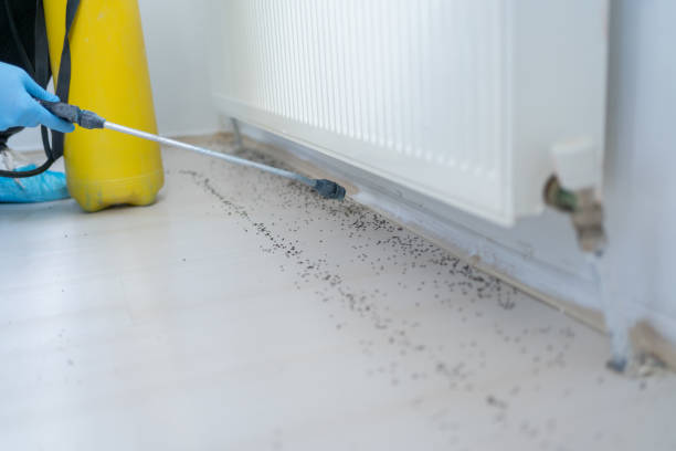 Best Pest Prevention Services  in Highland Lakes, NJ