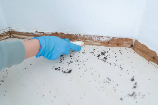 Best Pest Control for Homes  in Highland Lakes, NJ